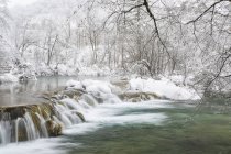 Замерзший пейзаж с заснеженными деревьями — стоковое фото