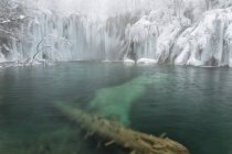 Paesaggio ghiacciato con alberi innevati — Foto stock
