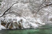 Paesaggio congelato ai Laghi di Plitvice — Foto stock