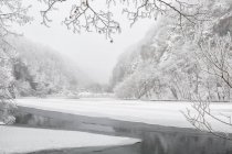 Paesaggio ghiacciato con alberi innevati — Foto stock