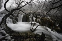 Río que fluye a través del bosque invierno - foto de stock