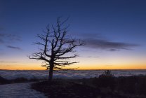 Nightfall видно з Sartorius гори — стокове фото