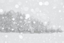 Фузинское озеро под снегопадом — стоковое фото