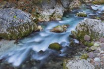 Slizza потоку в Юлійські Альпи — стокове фото