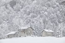Зимний пейзаж перевала Сант-Освальдо — стоковое фото