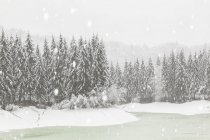 Зимовий пейзаж з Barcis — стокове фото