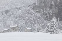 Paisaje invernal de Sant 'Osvaldo pass - foto de stock
