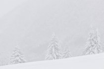 Winterlandschaft von Barcis — Stockfoto