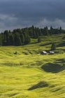 Mountainous meadows and huts — Stock Photo