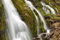 Cachoeiras espetaculares Vallesinella — Fotografia de Stock