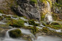 Kalte Quelle und moosige Felsen — Stockfoto