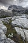 Formações rochosas em Dolomitas de Brenta — Fotografia de Stock