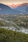 Verger de pommiers à Val di Non — Photo de stock