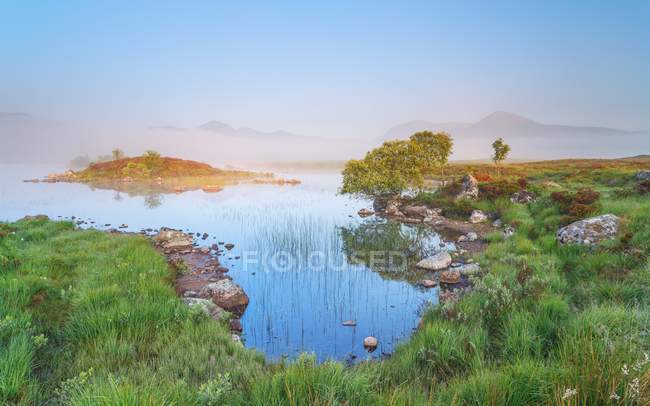 Прекрасный утренний свет на озере — стоковое фото