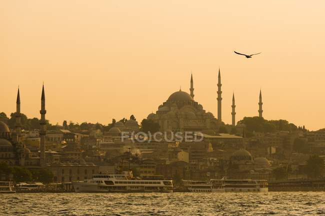 Skyline di Istanbul visto dallo Stretto del Bosforo — Foto stock