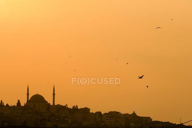 Vista del horizonte de Estambul desde el estrecho del Bósforo - foto de stock