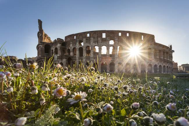 Walls of Colosseum at sunrise — Stock Photo