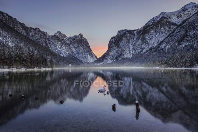 Lago de agua clara, árboles y laderas nevadas - foto de stock