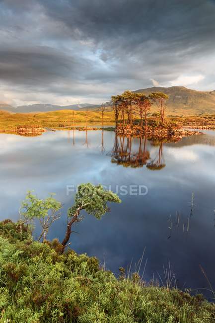 Great landscape of island with trees — Stock Photo