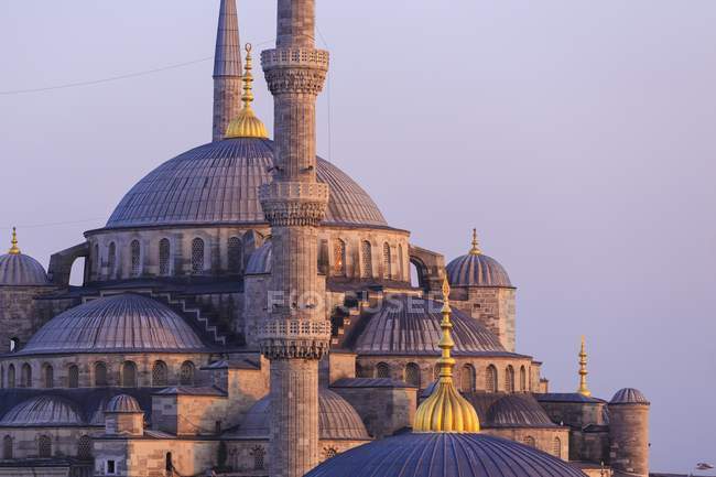 Голубая мечеть против хитрости — стоковое фото