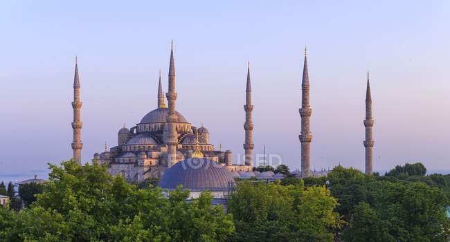 Mesquita azul contra astuto — Fotografia de Stock