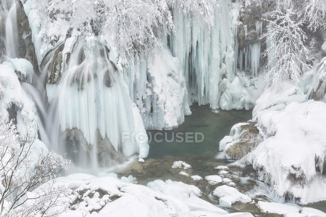 Заморожені водоспади і дерева — стокове фото