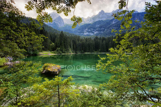 Lago Tovel y las dolomitas Brenta - foto de stock