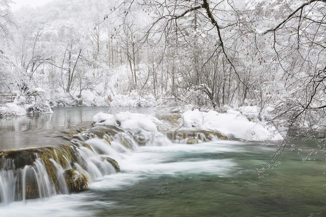 Paisagem congelada com árvores nevadas — Fotografia de Stock