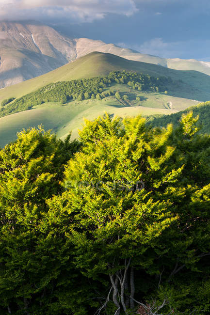 Hügelige Landschaft von castelluccio di norcia — Stockfoto