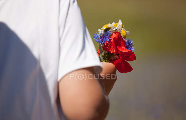 Niño sosteniendo un ramo de flores silvestres, Castelluccio di Norcia, Italia - foto de stock