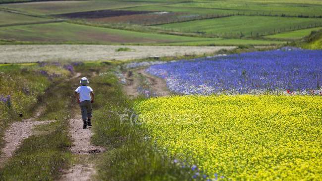 Child hiking in the flowering fields and of Pian Grande, Italy — Stock Photo