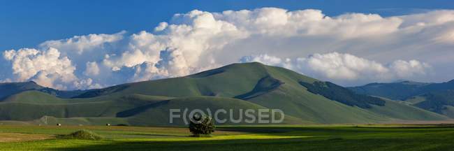 Cultivated fields and flowering at sunset — Stock Photo