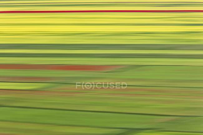 Зеленое поле в Национальном парке Сибиллини, Италия — стоковое фото