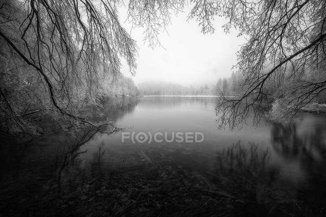 Abgelegener See umgeben von gefrorenem Wald — Stockfoto