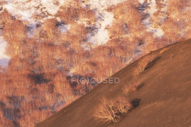 Nascer do sol na montanha Etna — Fotografia de Stock
