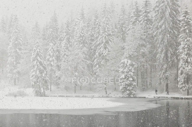 Fusine lake under snowfall — Stock Photo