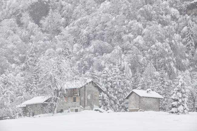 Winter landscape of Sant'Osvaldo pass — Stock Photo