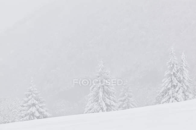 Paysage hivernal de Barcis — Photo de stock