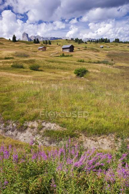 Alpine slope with tourist cabins — Stock Photo