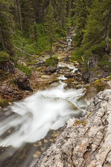Cold spring and mossy rocks — Stock Photo