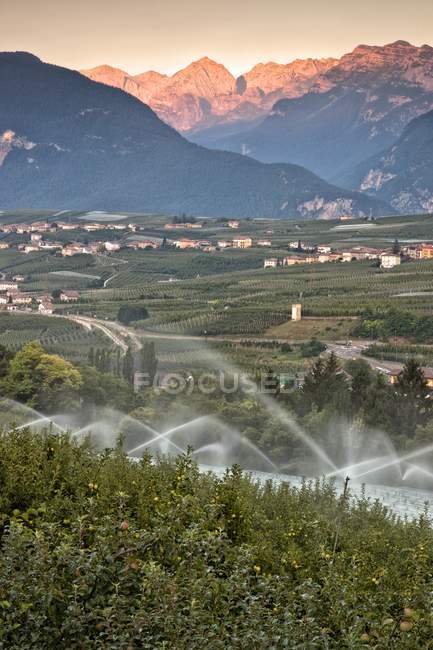 Verger de pommiers à Val di Non — Photo de stock