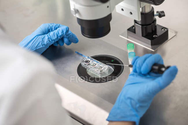 Kontrolle des Ergebnisses der In-vitro-Fertilisation — Stockfoto