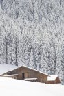 Granero de madera cubierto de nieve - foto de stock