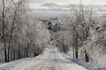 Дорога зимой после ледяного шторма — стоковое фото