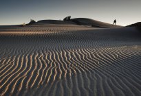 Силуэт Озила на дюне — стоковое фото