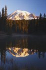 Monte Rainier reflejado en un lago - foto de stock