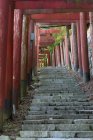 Тори Гейтс и каменная лестница. Коясан, Вакаяма, Япония — стоковое фото