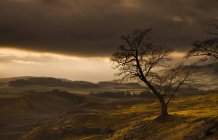 Nuages orageux sur un paysage vallonné — Photo de stock