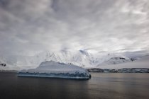 Iceberg en el océano y las montañas - foto de stock