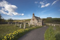 Церковь и кладбище на поле — стоковое фото